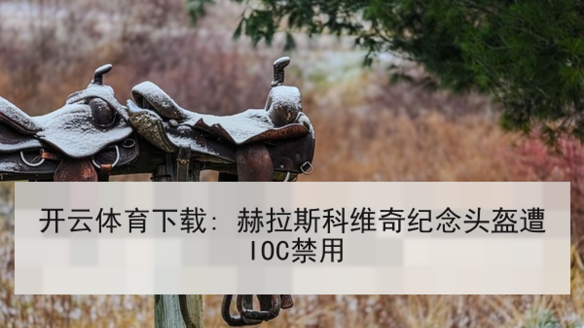 开云体育下载: 赫拉斯科维奇纪念头盔遭IOC禁用 开云体育下载: 赫拉斯科维奇纪念头盔遭IOC禁用