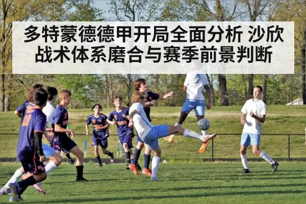 多特蒙德德甲开局全面分析 沙欣战术体系磨合与赛季前景判断
